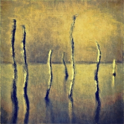 0102 0102